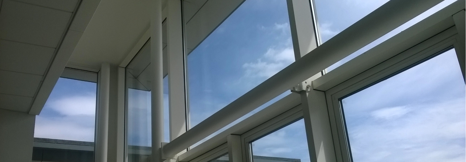 Window cleaning services
